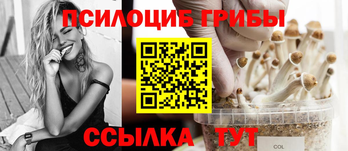 Псилоцибиновые грибы ЛСД Мурино