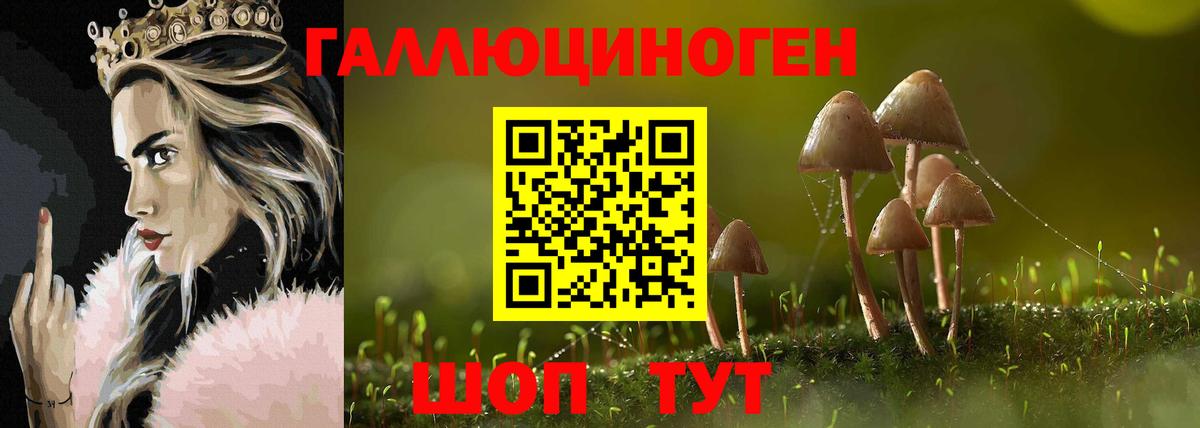 Галлюциногенные грибы Magic Shrooms  Вход с VPN  как найти наркотики  Мурино 